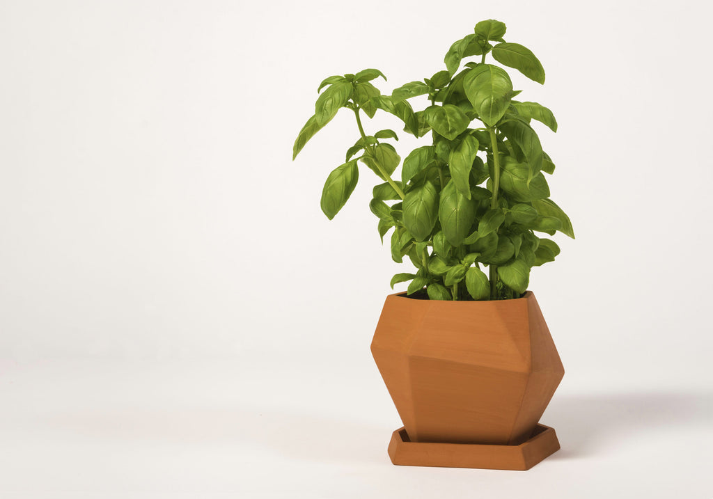 Geometry Pot Geometric Small Pot by Nick Fraser